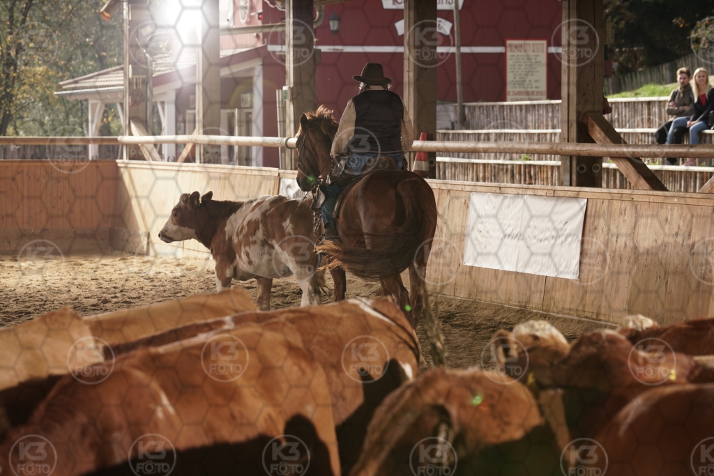 s_K3F08865.JPG